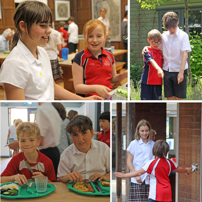 4 photos of children of various ages happy at school