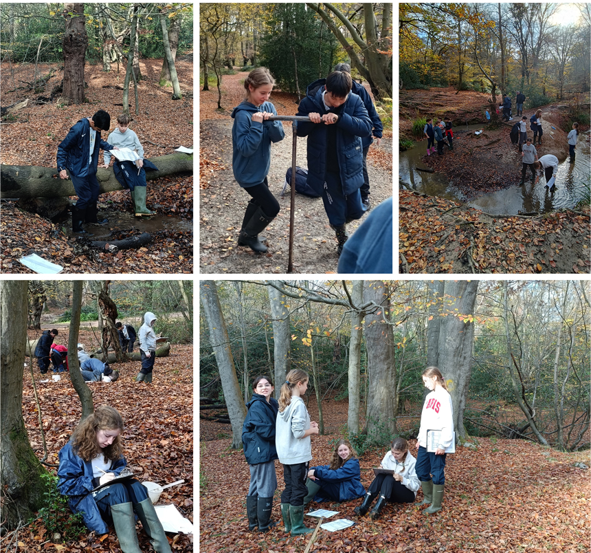 children outside by a river