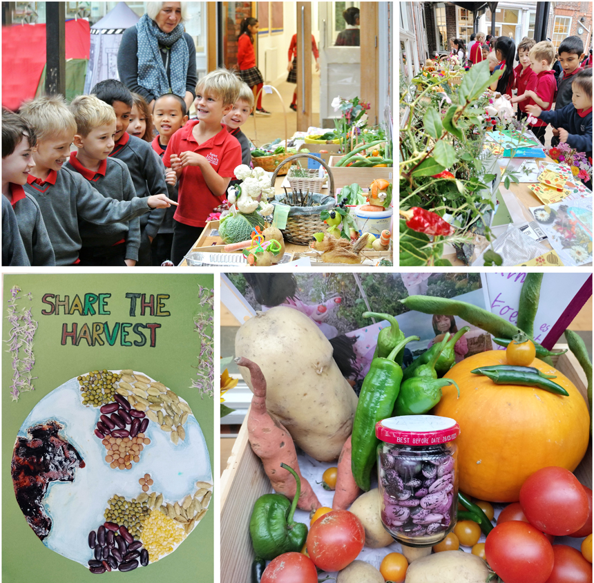 children looking at harvest produce