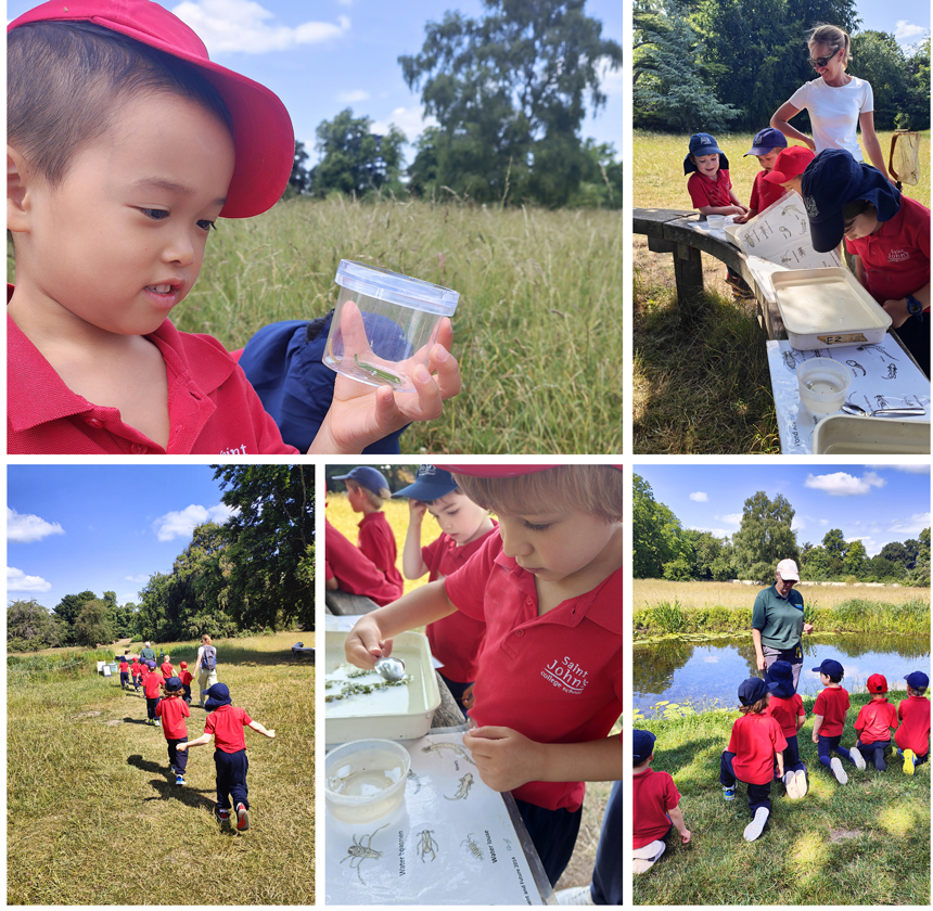 children on a trip to a country park to do pond dipping