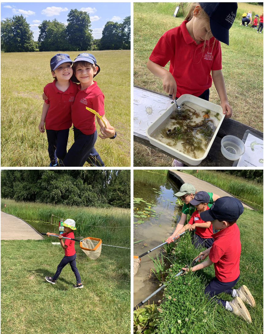 children on a trip to a country park to do pond dipping