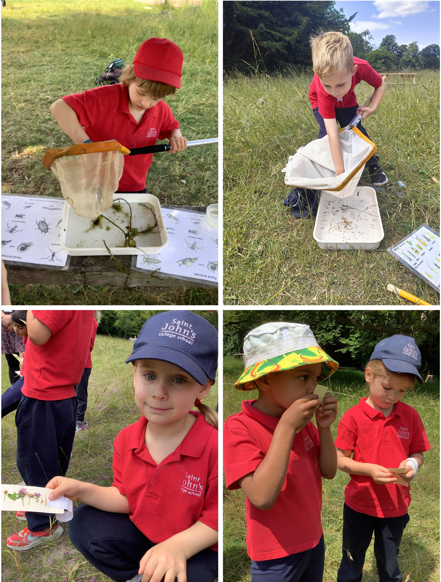 children on a trip to a country park to do pond dipping
