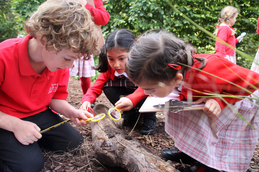 children looking under logs outside