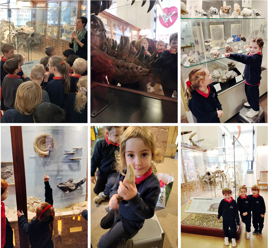 children looking at dinosaur bones in a museum