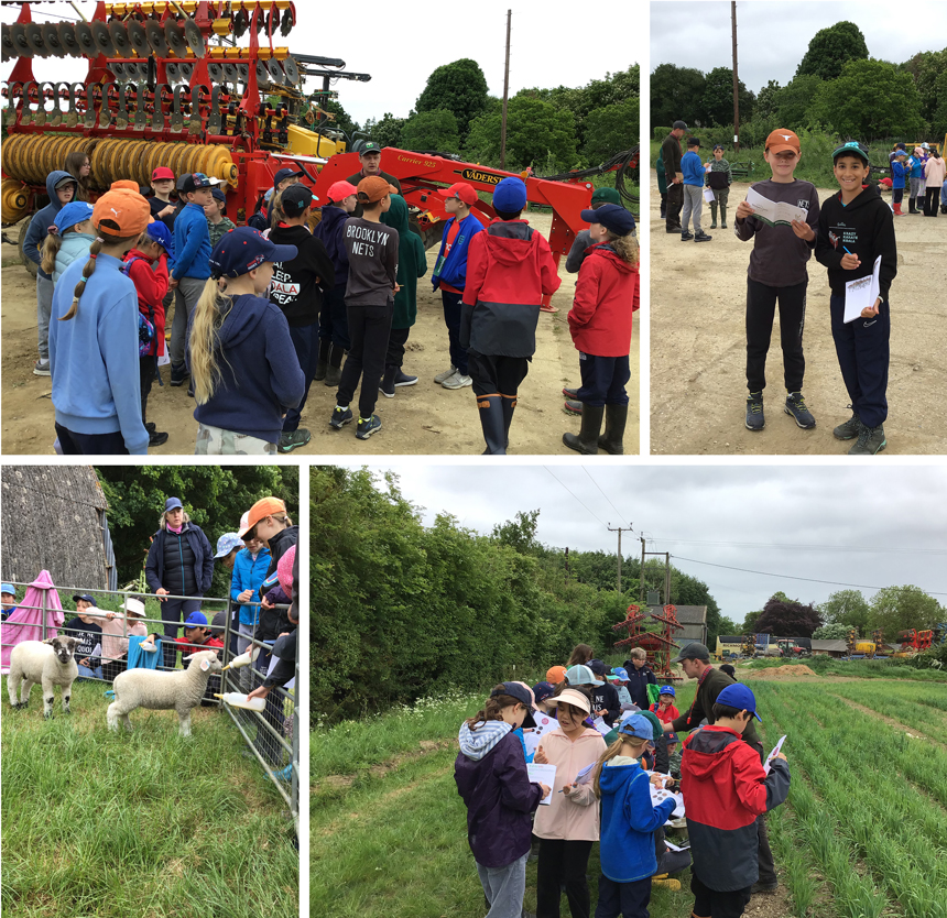 children visiting a farm