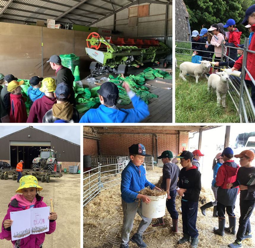 children visiting a farm