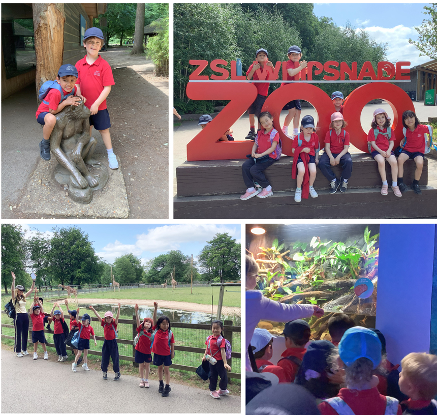 children walking around a zoo