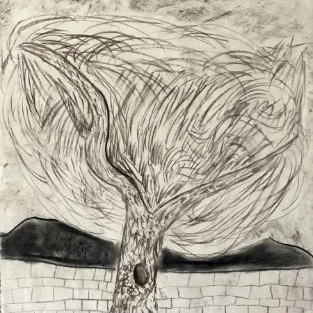 f4 charcoal vg - amelie brown_0