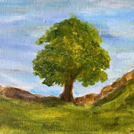 f6 canvas - annie dunton 1_0