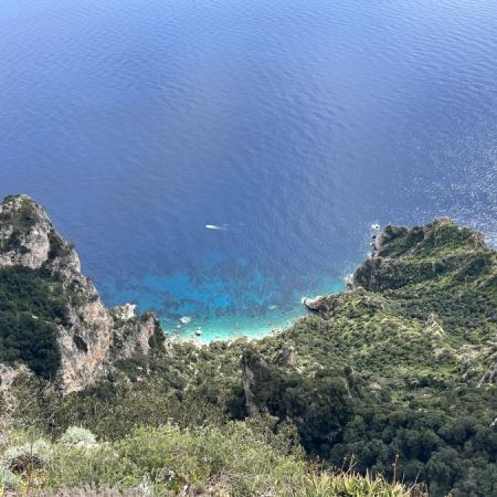 naples (525)