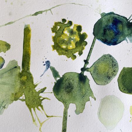 watercolours (47)
