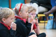 children smelling rosemary