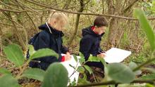 Form 3M Child-led Art Topic "Wildlife" and visit to Wicken Fen 2021