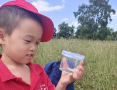 child looking at an insect in a jar in a field