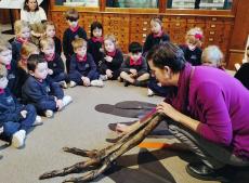 children looking at a dinosaur bone in a museum