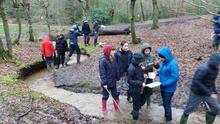 Form 6 Epping Forest Geography Field Trip