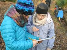 Investigating the ‘Outdoor Classroom’ at Epping Forest