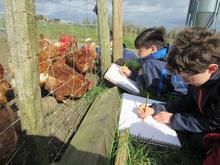 Arts Activity Week at Wick Court Farm