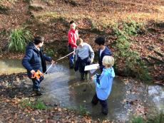 children wading in a river in a forest on a school trip