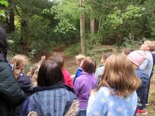 Form 4 Orienteering and Park Management at Wandlebury Country Park 2018