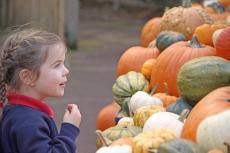 child looking at pumpkins