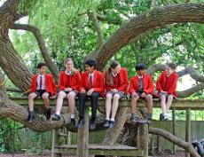 children sitting on a willow tree smiling