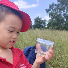 child looking at an insect in a jar in a field
