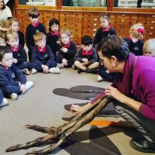 children looking at a dinosaur bone in a museum