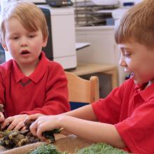 two boys playing with dinosaurs