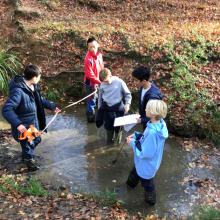 children wading in a river in a forest on a school trip