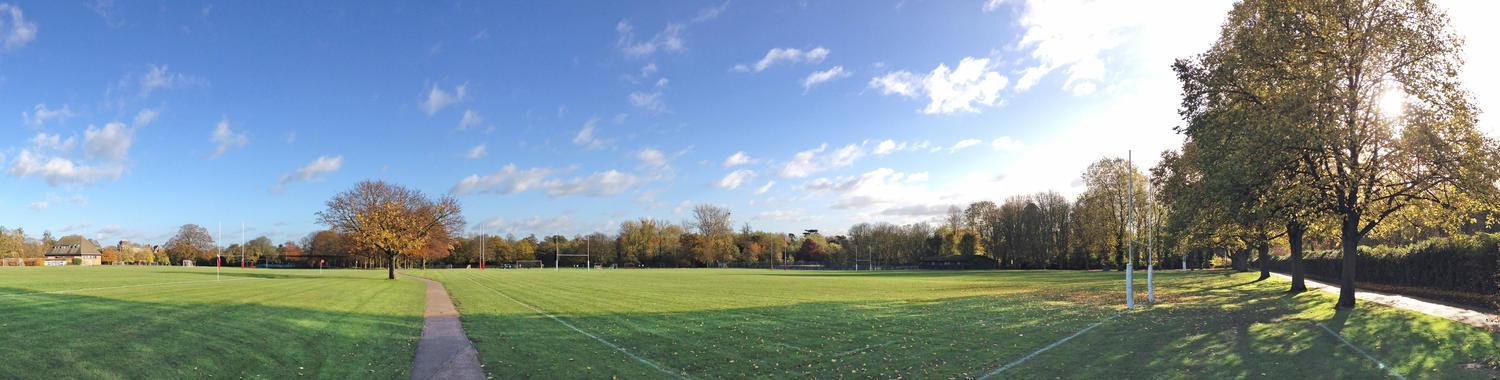 Sports field in beautiful sunshine