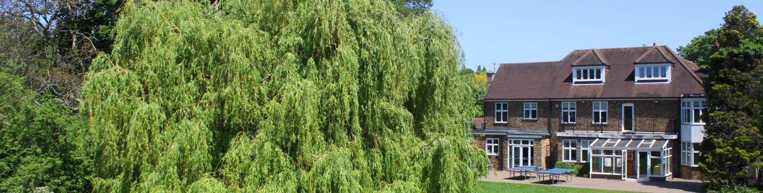 Back of the building and a weeping willow